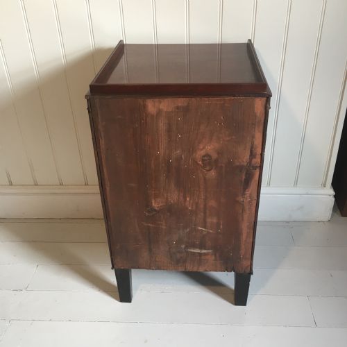19TH CENTURY MAHOGANY BEDSIDE CUPBOARDS - ADDITIONAL PHOTO 10