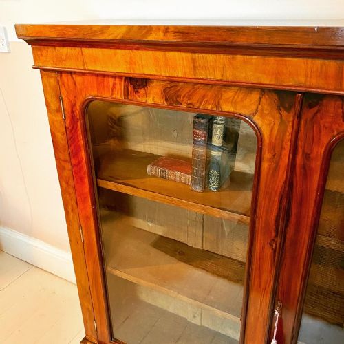 19TH CENTURY WALNUT GLAZED BOOKCASE - ADDITIONAL PHOTO 6