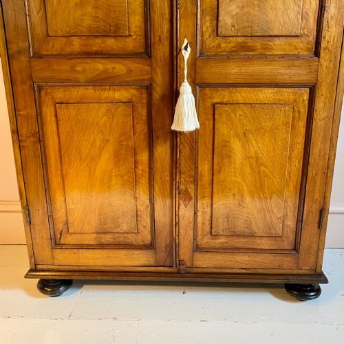 19TH CENTURY WALNUT CUPBOARD - ADDITIONAL PHOTO 1