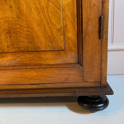 19TH CENTURY WALNUT CUPBOARD - ADDITIONAL PHOTO 4