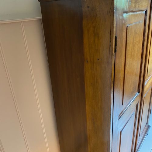 19TH CENTURY WALNUT CUPBOARD - ADDITIONAL PHOTO 7