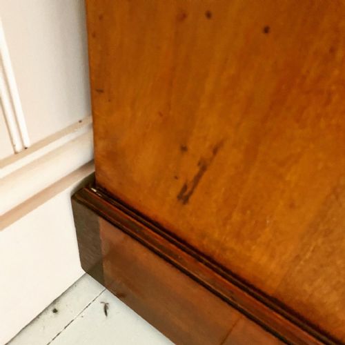 19TH CENTURY MAHOGANY SHOOLBRED PEDESTAL DESK - ADDITIONAL PHOTO 6
