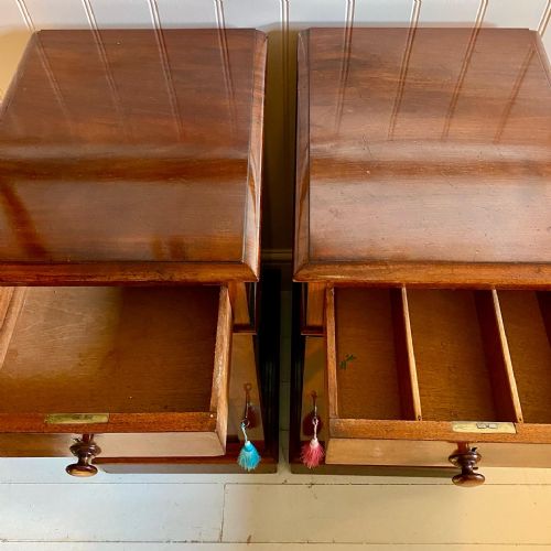 19TH CENTURY MAHOGANY BEDSIDE CUPBOARDS - ADDITIONAL PHOTO 1