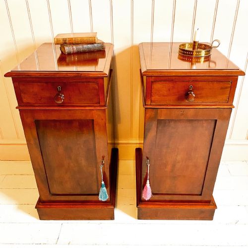 19TH CENTURY MAHOGANY BEDSIDE CUPBOARDS - ADDITIONAL PHOTO 2