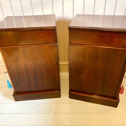 19TH CENTURY MAHOGANY BEDSIDE CUPBOARDS - ADDITIONAL PHOTO 5