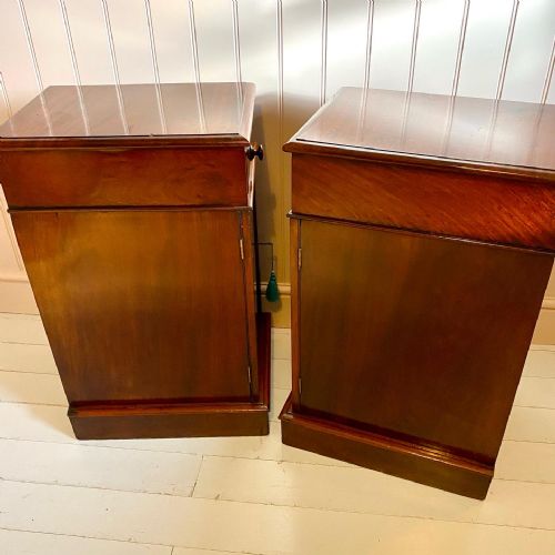 19TH CENTURY MAHOGANY BEDSIDE CUPBOARDS - ADDITIONAL PHOTO 6