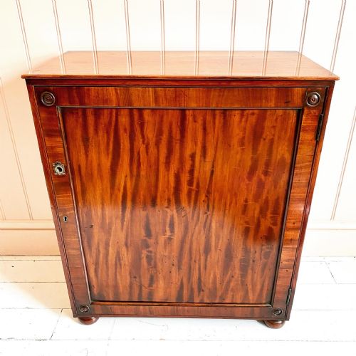 19TH CENTURY CAMPAIGN CUPBOARD - ADDITIONAL PHOTO 1