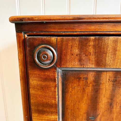 19TH CENTURY CAMPAIGN CUPBOARD - ADDITIONAL PHOTO 4