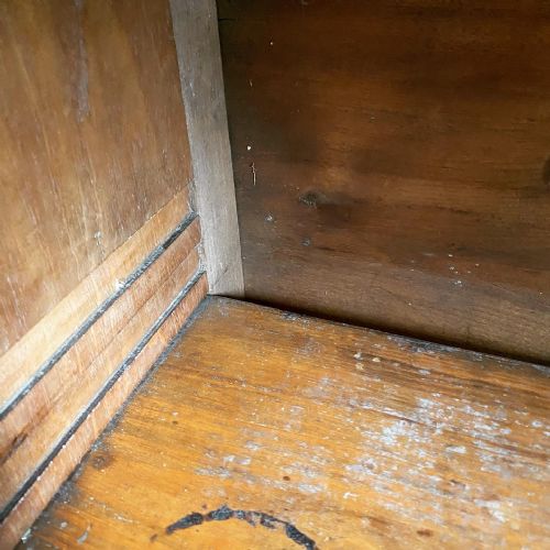 19TH CENTURY CAMPAIGN CUPBOARD - ADDITIONAL PHOTO 5
