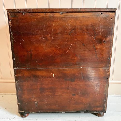 19TH CENTURY CAMPAIGN CUPBOARD - ADDITIONAL PHOTO 9