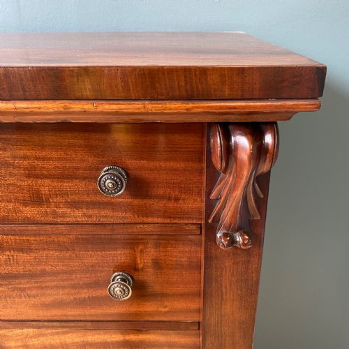19TH CENTURY MAHOGANY WELLINGTON CHEST - ADDITIONAL PHOTO 2