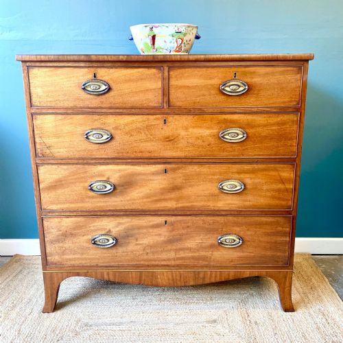 regency mahogany chest of drawers - CATEGORY: ANTIQUE CHEST OF DRAWERS - DATED REGENCY