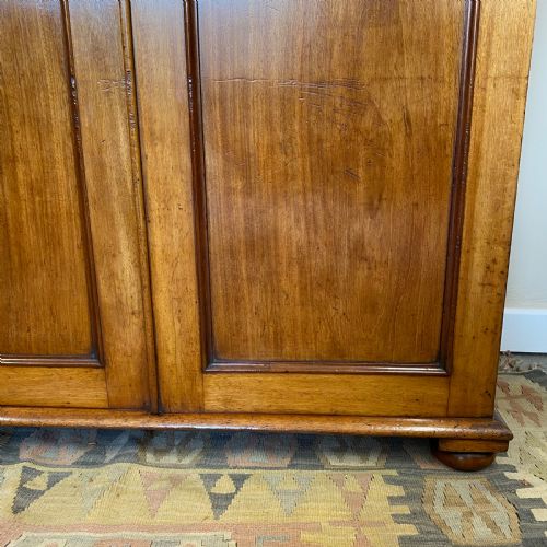 19TH CENTURY MAHOGANY CUPBOARD - ADDITIONAL PHOTO 1