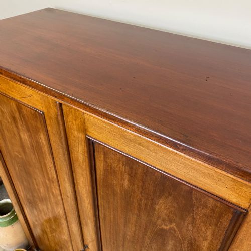 19TH CENTURY MAHOGANY CUPBOARD - ADDITIONAL PHOTO 2