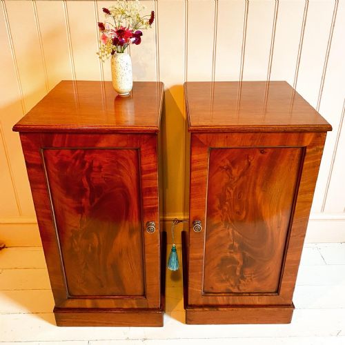 19TH CENTURY MAHOGANY BEDSIDE CUPBOARDS - ADDITIONAL PHOTO 1