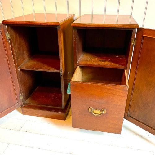 19TH CENTURY MAHOGANY BEDSIDE CUPBOARDS - ADDITIONAL PHOTO 5