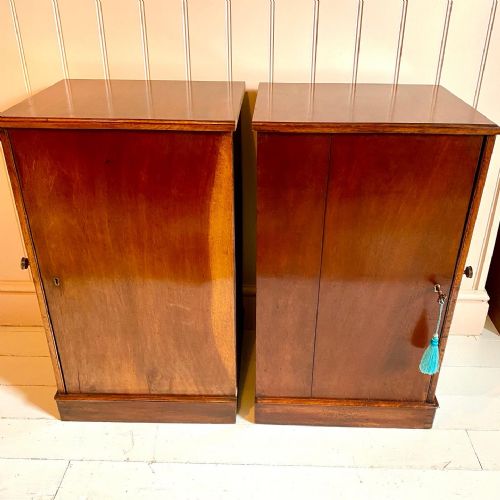 19TH CENTURY MAHOGANY BEDSIDE CUPBOARDS - ADDITIONAL PHOTO 6