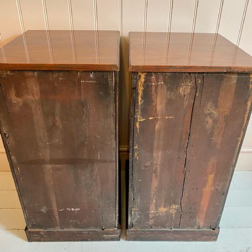 19TH CENTURY MAHOGANY BEDSIDE CUPBOARDS - ADDITIONAL PHOTO 8