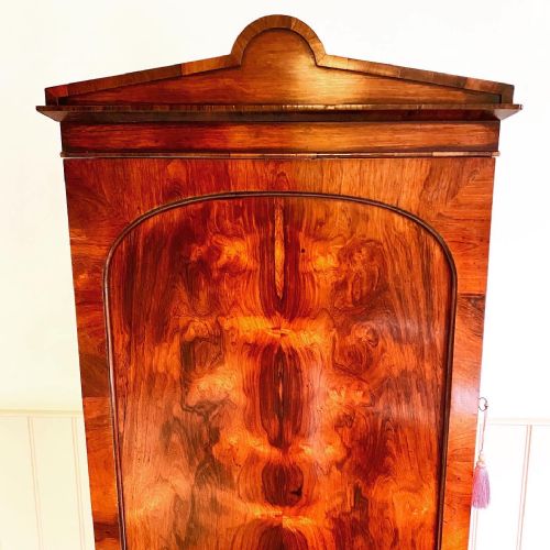 19TH CENTURY ROSEWOOD CUPBOARD - ADDITIONAL PHOTO 5