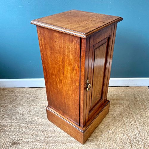 19TH CENTURY WALNUT POT CUPBOARD - ADDITIONAL PHOTO 5