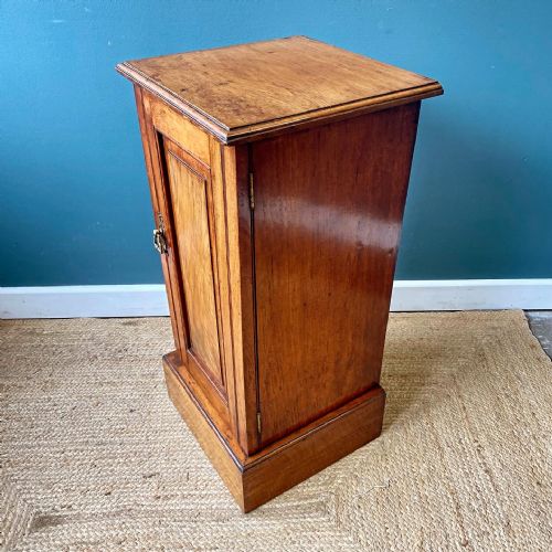 19TH CENTURY WALNUT POT CUPBOARD - ADDITIONAL PHOTO 6