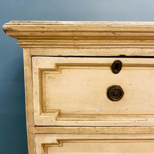 19TH CENTURY PAINTED MAHOGANY CHEST IN CHEST - ADDITIONAL PHOTO 3