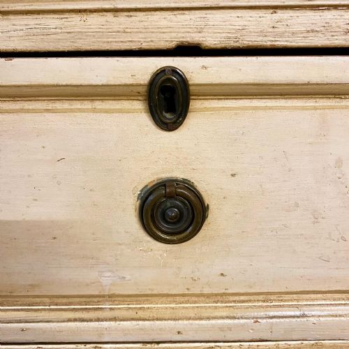 19TH CENTURY PAINTED MAHOGANY CHEST IN CHEST - ADDITIONAL PHOTO 5