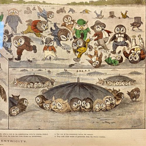 19TH CENTURY LOUIS WAIN PRINT - ADDITIONAL PHOTO 3
