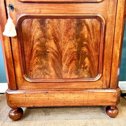 19TH CENTURY MAHOGANY GLAZED CUPBOARD - ADDITIONAL PHOTO 2