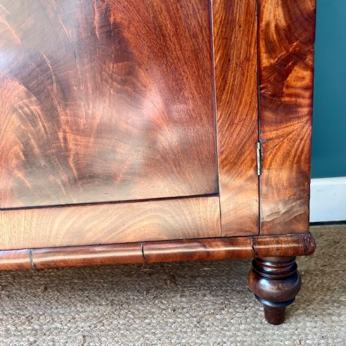 19TH CENTURY MAHOGANY CUPBOARD - ADDITIONAL PHOTO 6