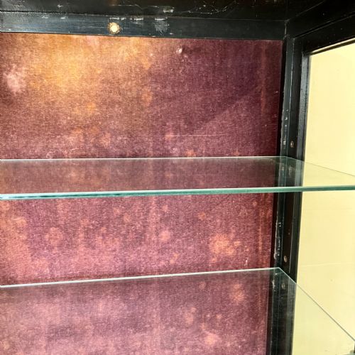 19TH CENTURY AESTHETIC MOVEMENT CABINET - ADDITIONAL PHOTO 14