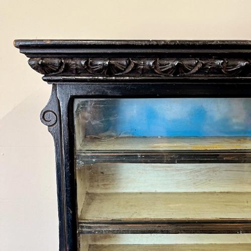 19TH CENTURY EBONISED SHOP DISPLAY CABINET - ADDITIONAL PHOTO 4