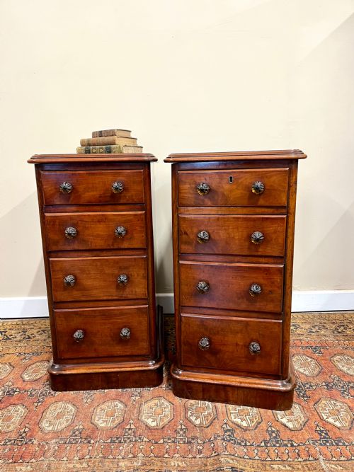 pair of 19th century mahogany bedside chests - CATEGORY: ANTIQUE CUPBOARDS - DATED 19TH CENTURY