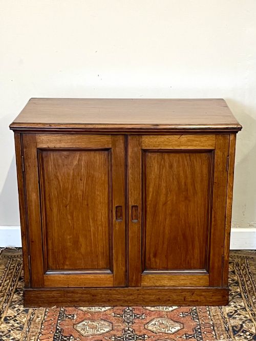 19TH CENTURY WALNUT CUPBOARD - ADDITIONAL PHOTO 1
