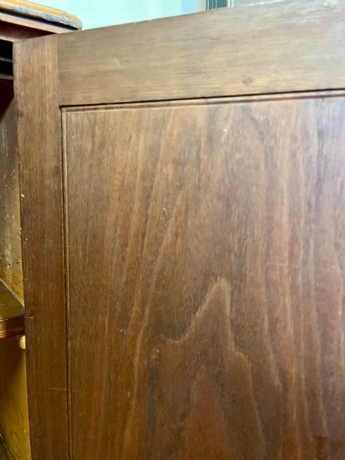 19TH CENTURY WALNUT CUPBOARD - ADDITIONAL PHOTO 5
