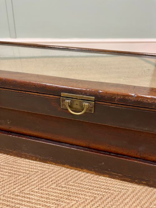 19TH CENTURY DISPLAY CABINET - ADDITIONAL PHOTO 10
