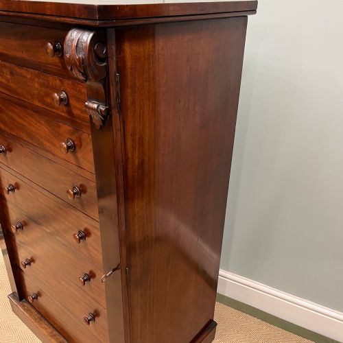 19TH CENTURY WELLINGTON CHEST - ADDITIONAL PHOTO 9