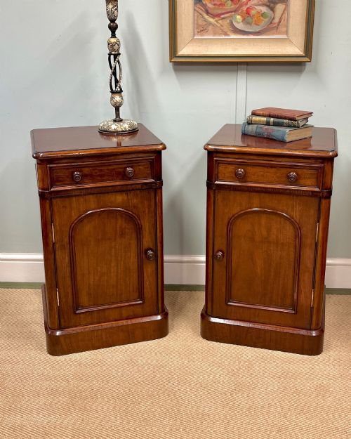 Pair of 19th century mahogany bedside cupboards