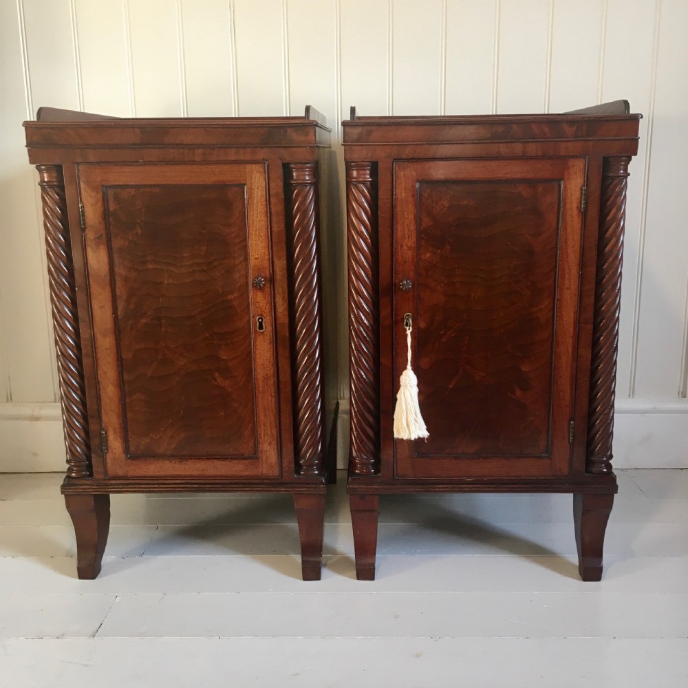 19th century mahogany bedside cupboards View III