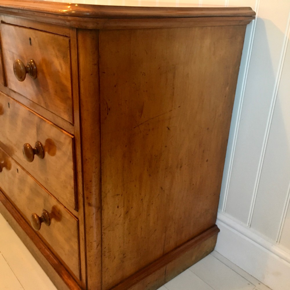 Victorian satin birch chest of drawers View IX