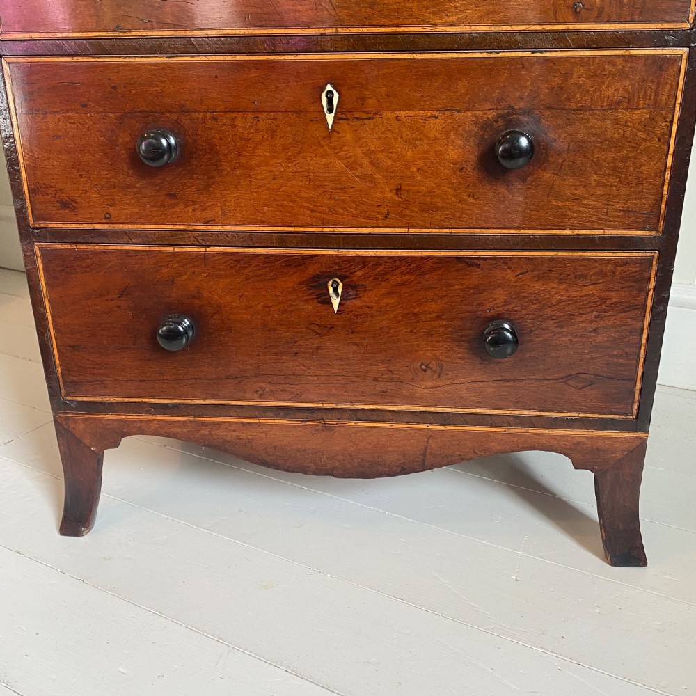 Regency partridge wood chest of drawers View III