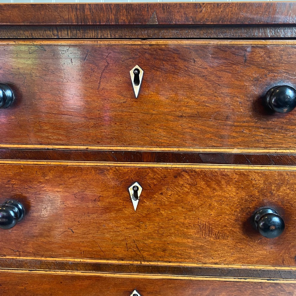 Regency partridge wood chest of drawers View V