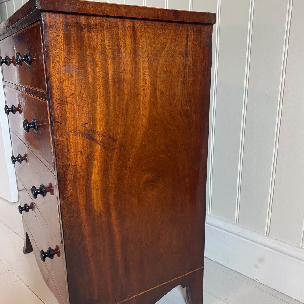 Regency partridge wood chest of drawers View VIII