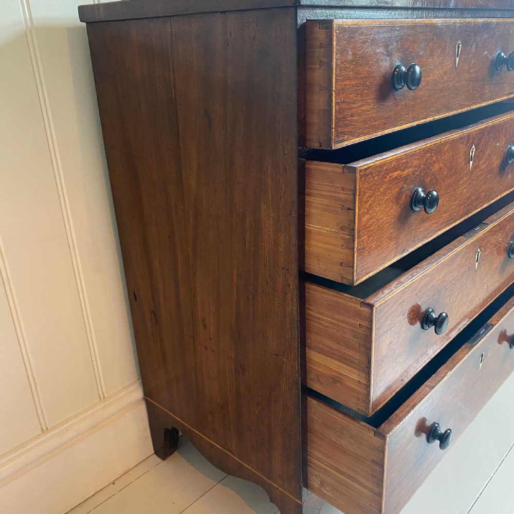 Regency partridge wood chest of drawers View XII