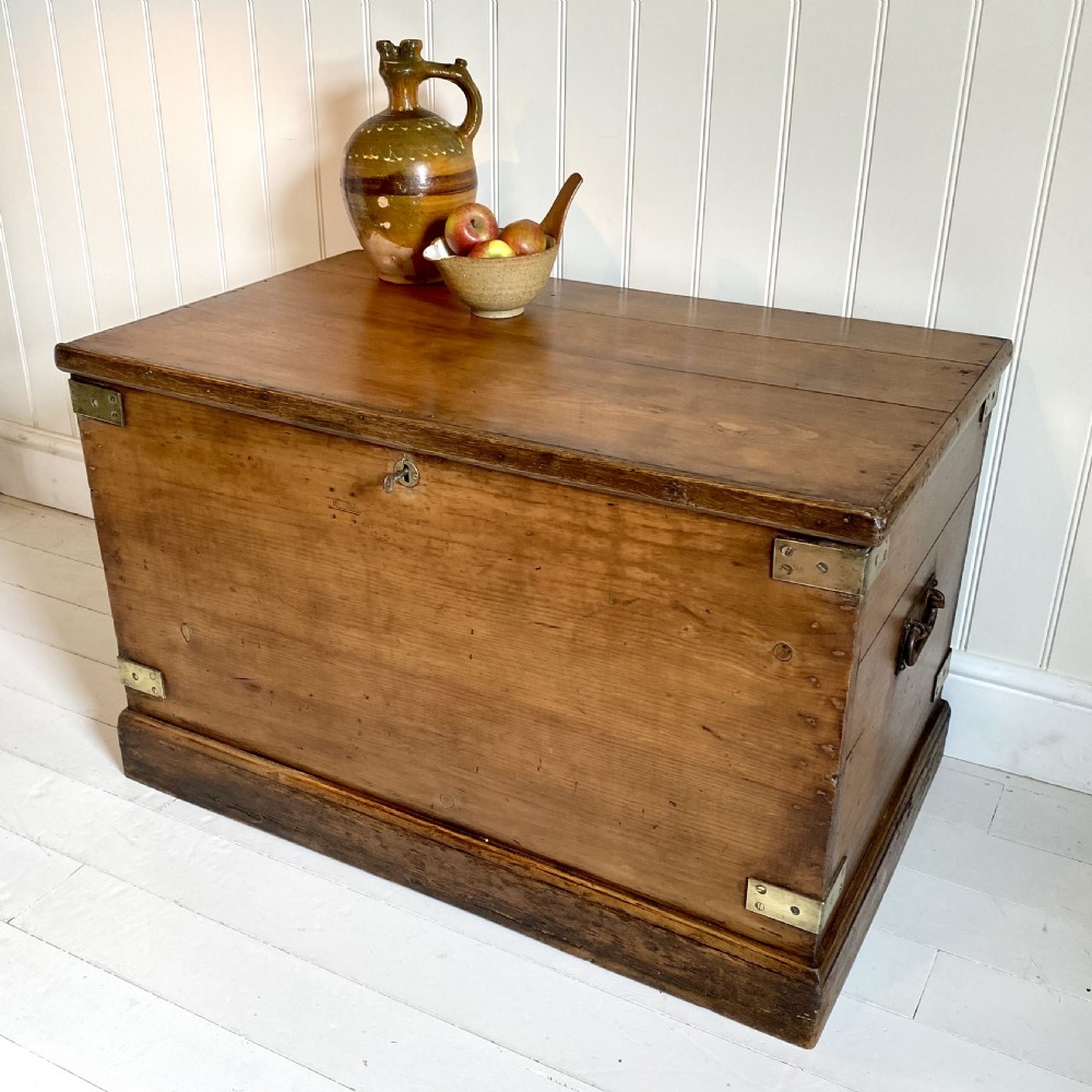 19th century pine trunk View II