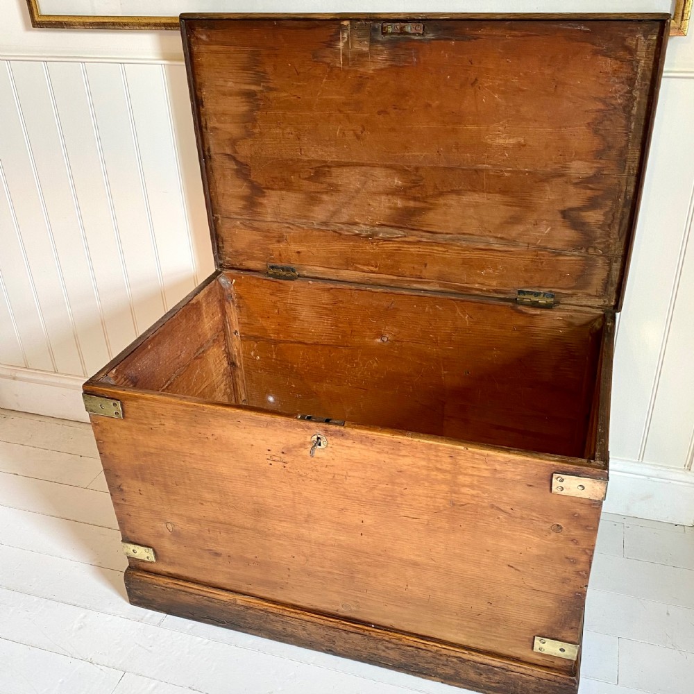19th century pine trunk View III