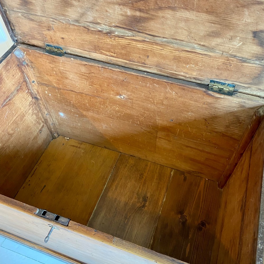 19th century pine trunk View VII