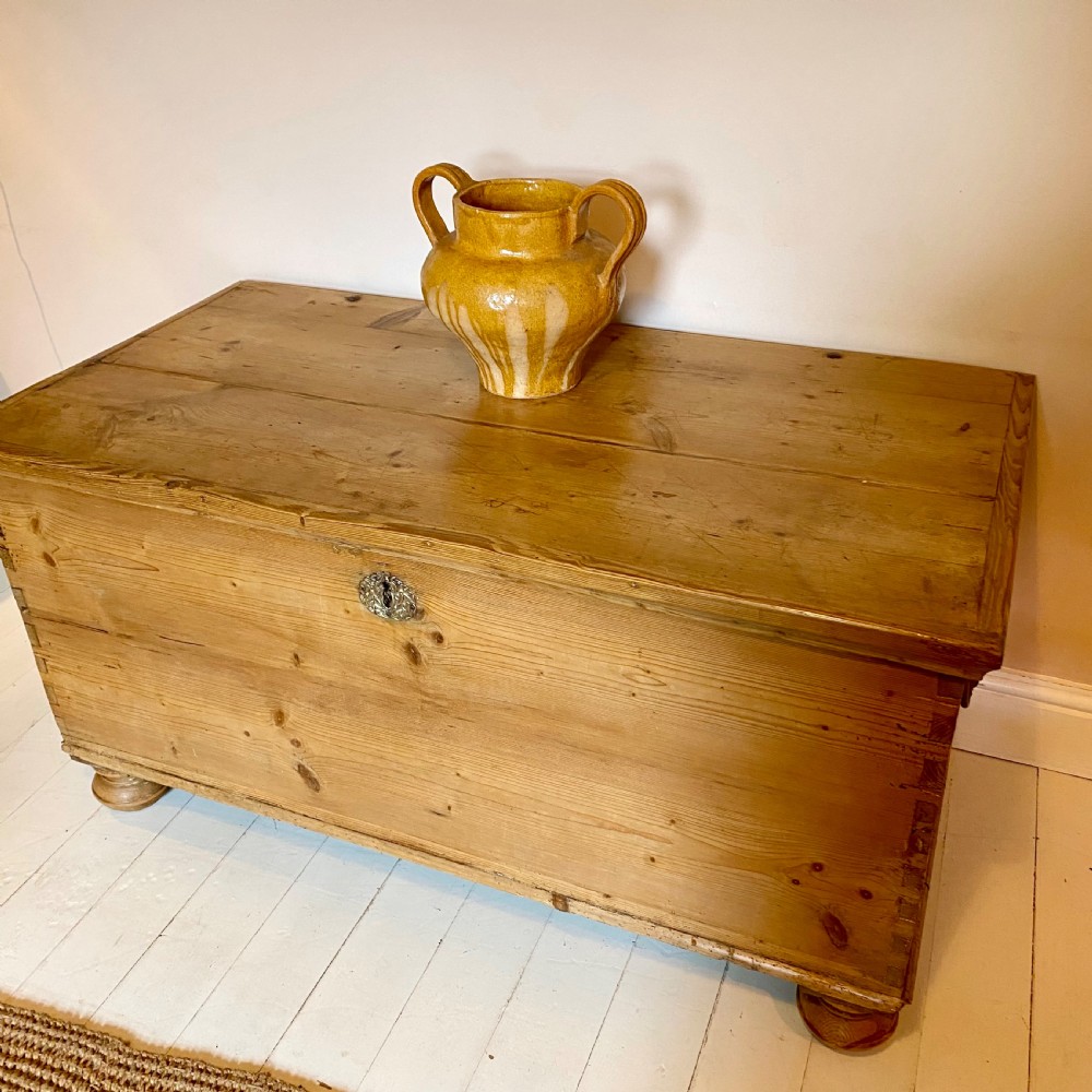 19th century pine trunk View III