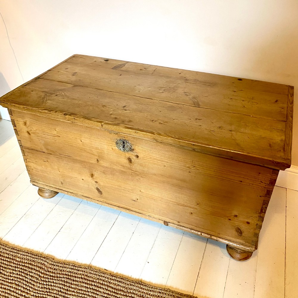 19th century pine trunk View IV