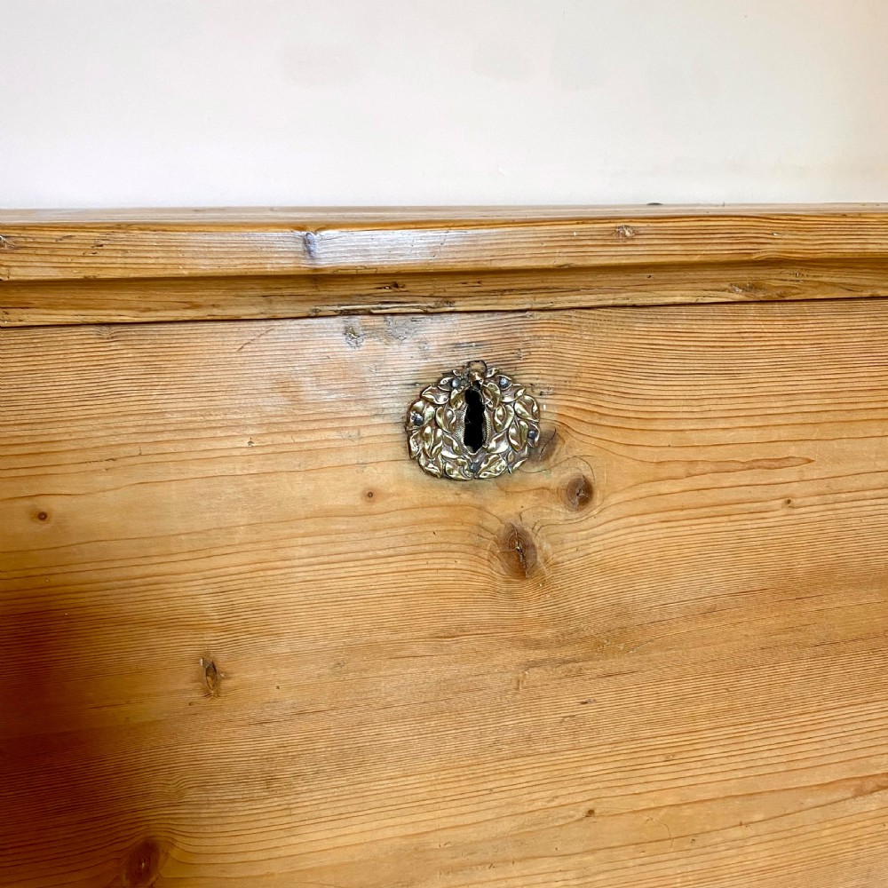 19th century pine trunk View V